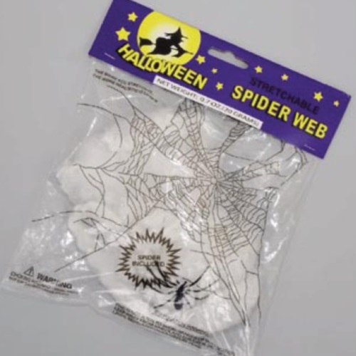Spinne mit Spinnennetz